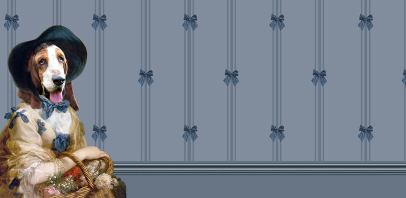 AMELIA - immagine 3