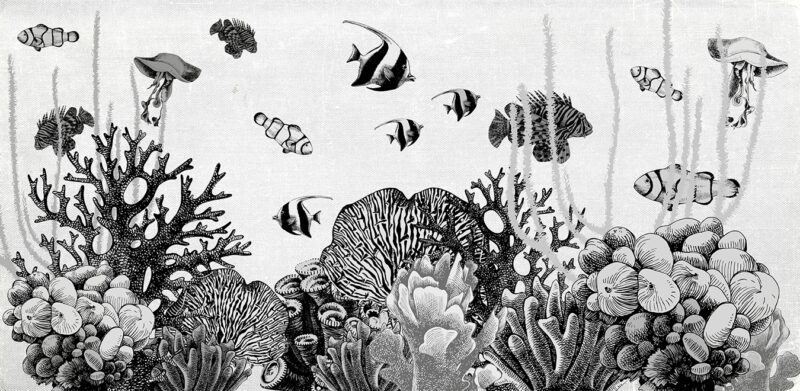 ARIEL - immagine 3
