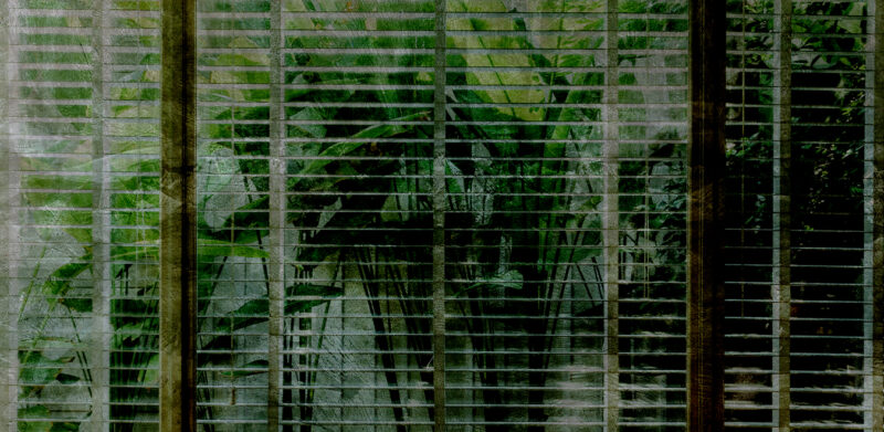 BEYOND - Image 2