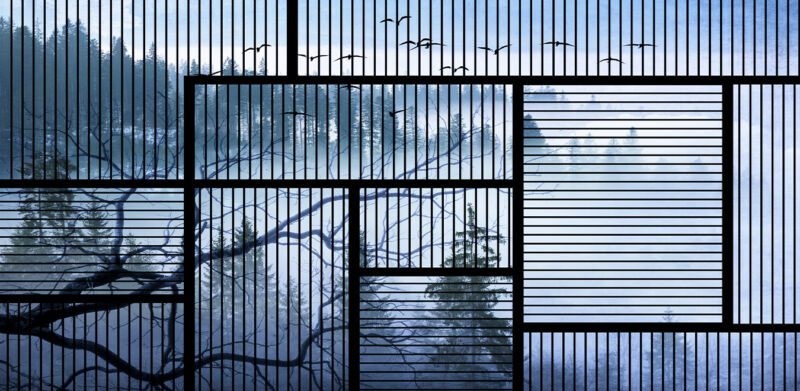 BLUES - immagine 2