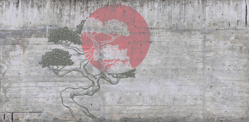 BONSAI - immagine 2