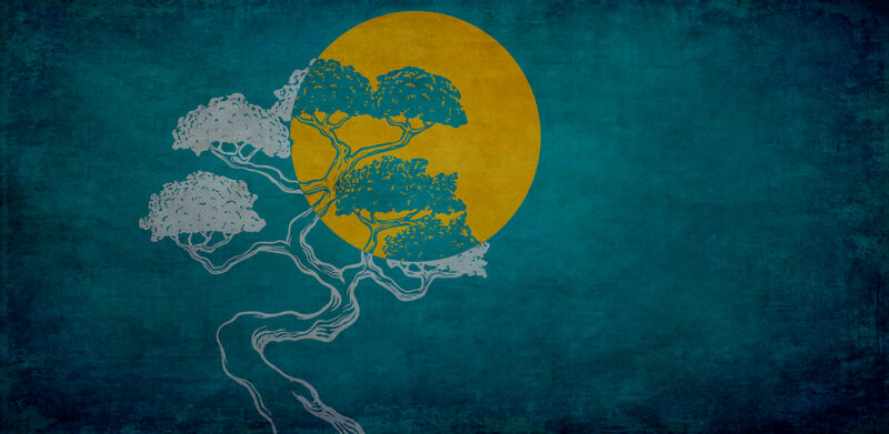 BONSAI - immagine 3