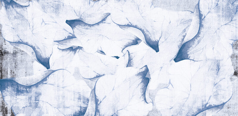 BOTANY - immagine 2
