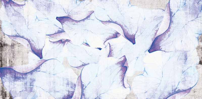 BOTANY - immagine 3