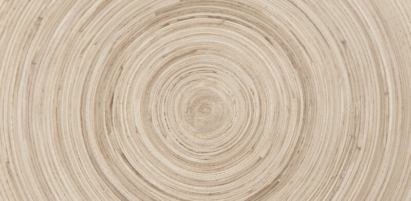 CIRCLE - Image 2
