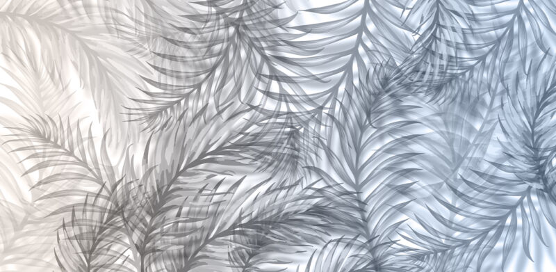 COCÒ - Image 2