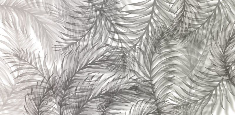 COCÒ - Image 3