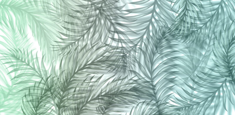 COCÒ - Image 4