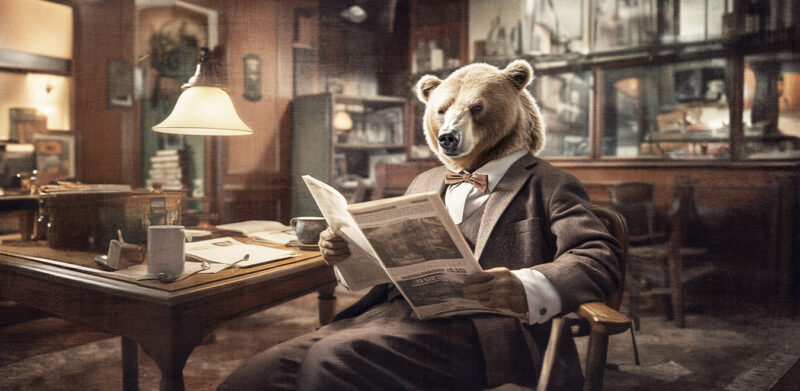 DAILY BEAR - immagine 2