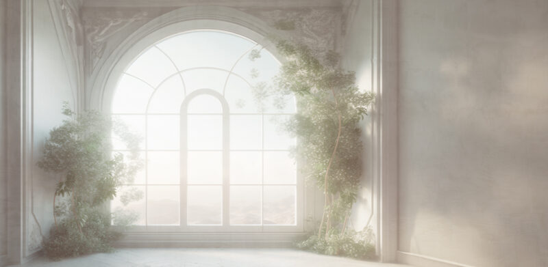 DELICATE - immagine 2