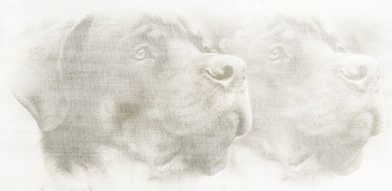 DOC - Image 2
