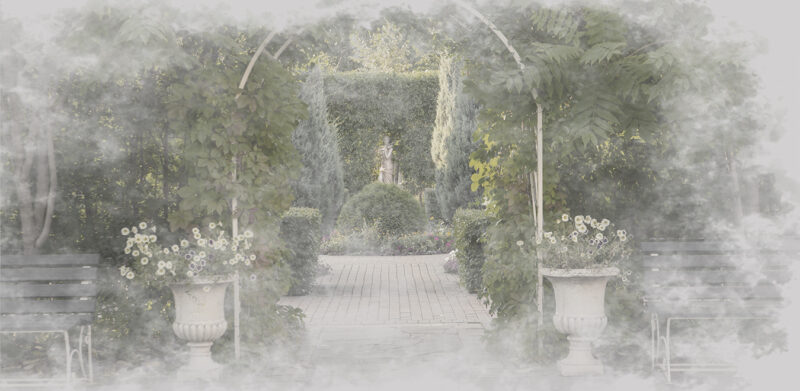 EDEN - immagine 2