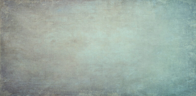 EVANESCENZE - immagine 3