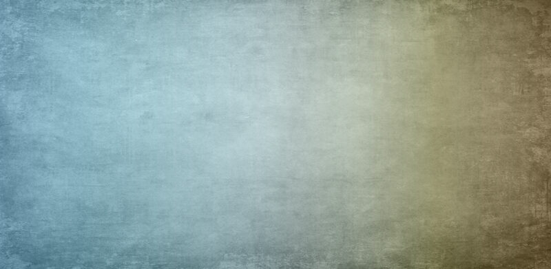 EVANESCENZE - immagine 4