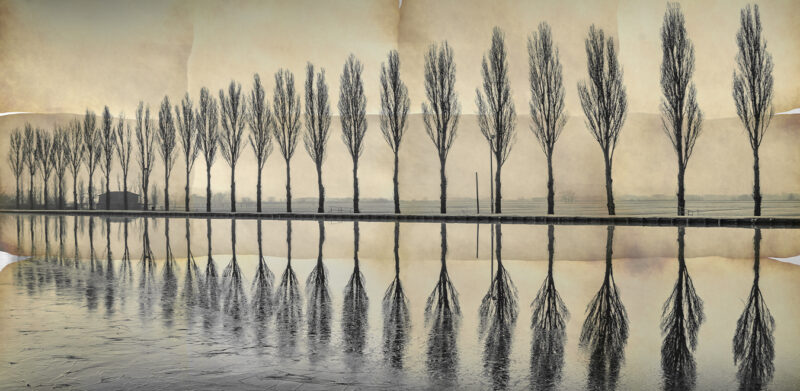 FEEL - immagine 2