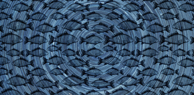 FISHHH - Image 4