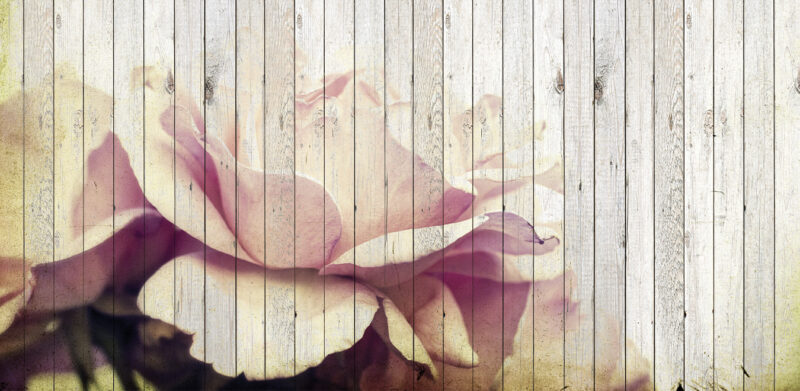 FLOWER - Image 2