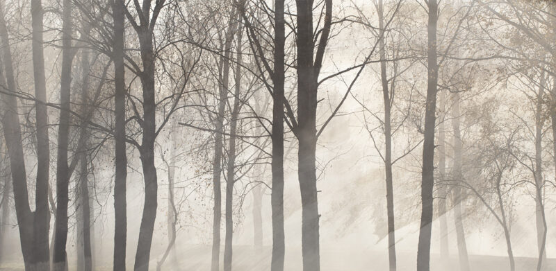 FOG - Image 2