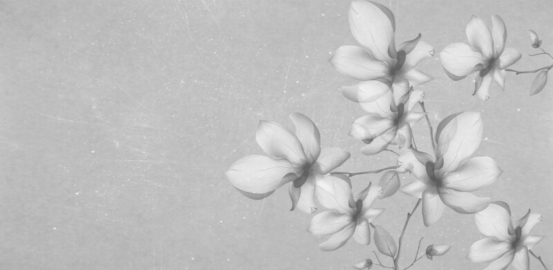 FOR YOU - Image 2
