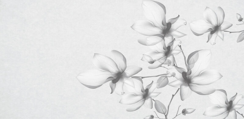 FOR YOU - Image 3