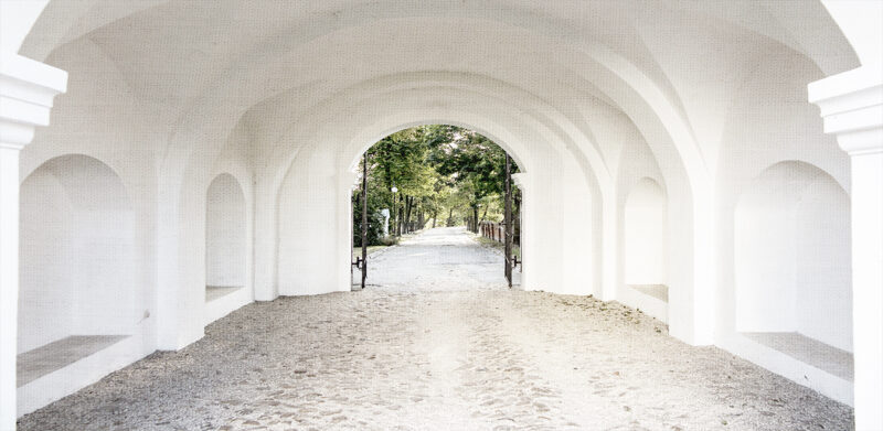 FREEDOM - immagine 2