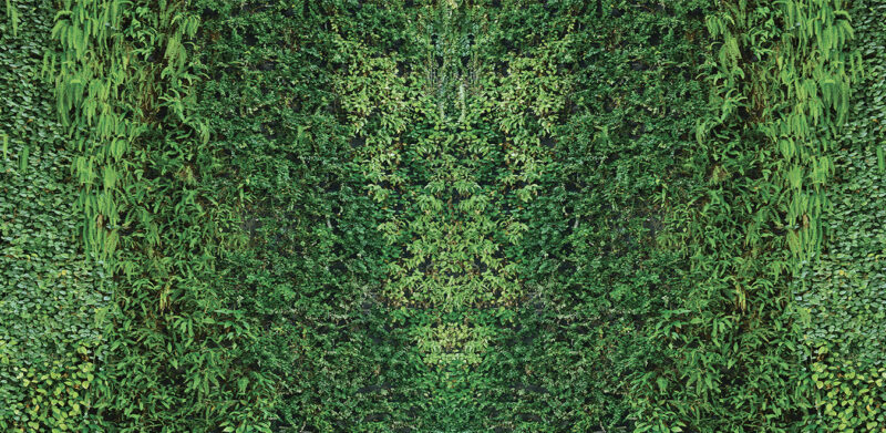 GRASS - immagine 2