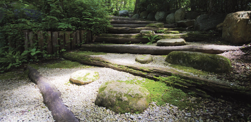 GREEN - immagine 2