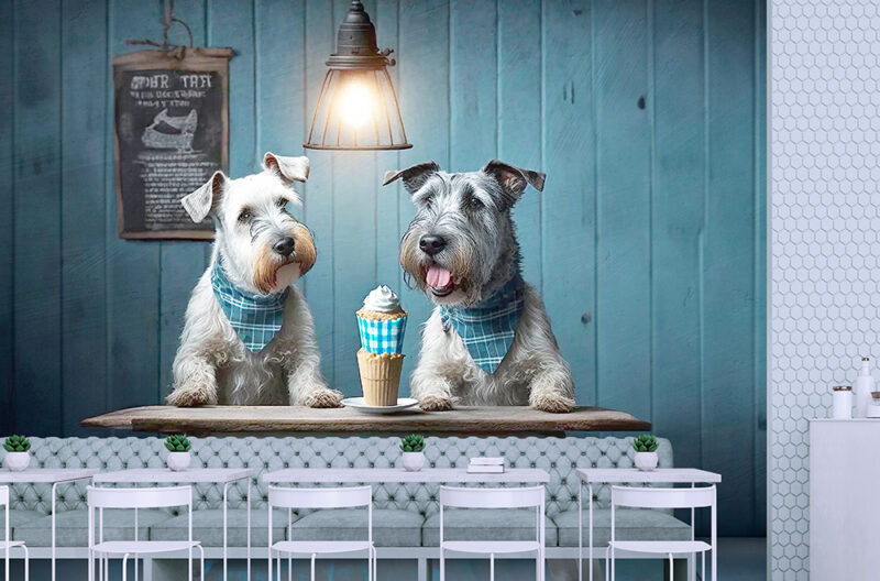 ICE-CREAMER