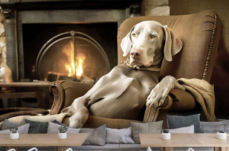 LEOPOLDO IN RELAX