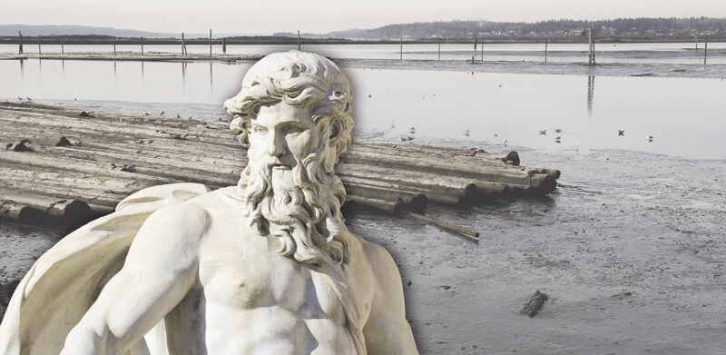 NETTUNO3 - Image 3
