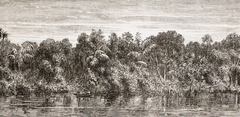 ORIENTE - immagine 2