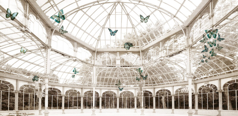 PALACIO - Image 2