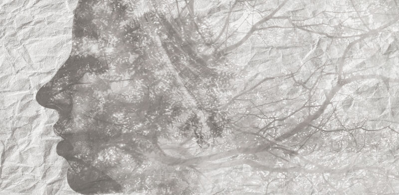 PAPER THREE - Image 2