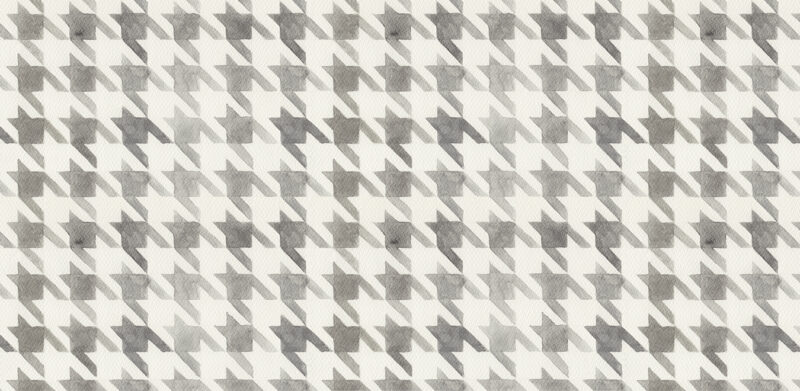 PIED - Image 2