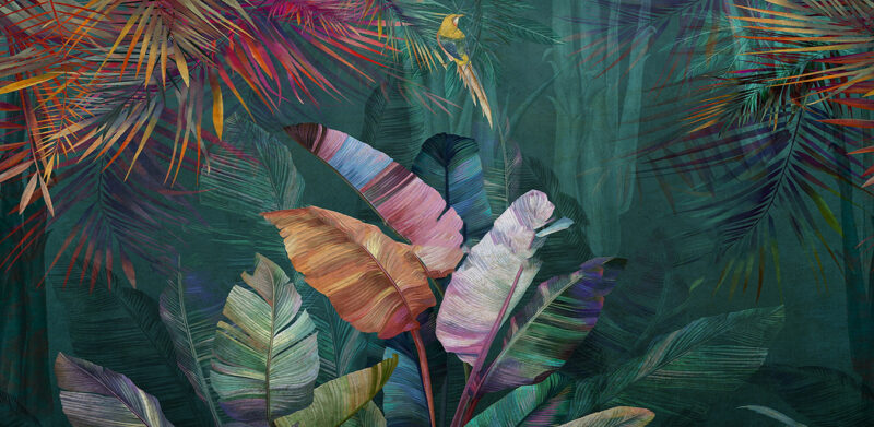 POLLY - Image 2