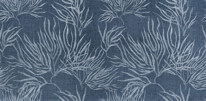 REEF - Image 2
