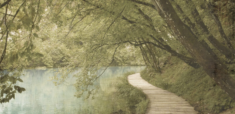 RIVER - immagine 2