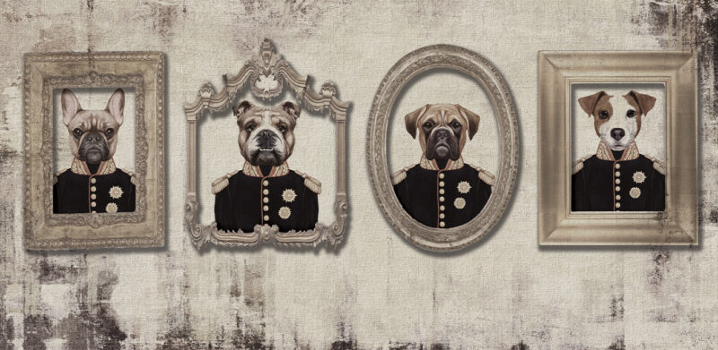RUDOLF - Image 2