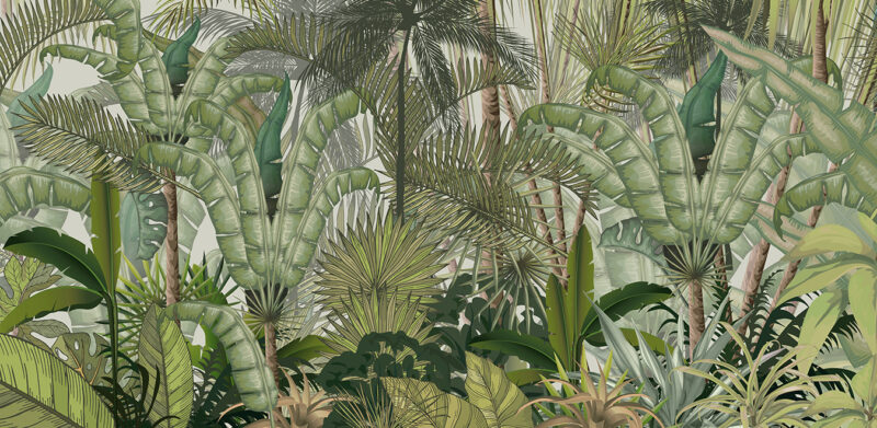 SAVANE - immagine 2