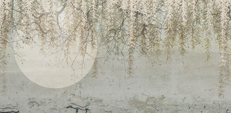 SET - Image 2