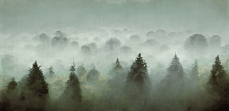 SMOKE - Image 2