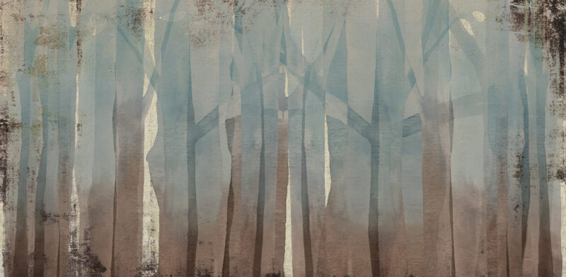 TRUNKS - Image 2