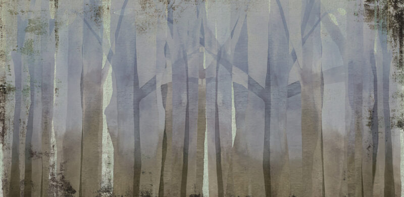 TRUNKS - Image 3