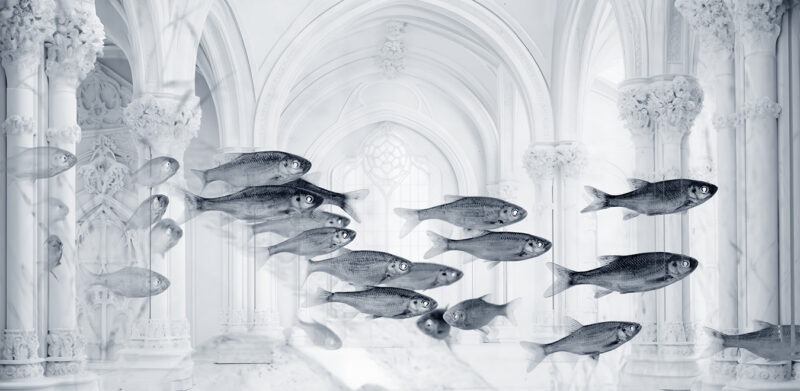 UNDERWATER LUX LIFE - immagine 2