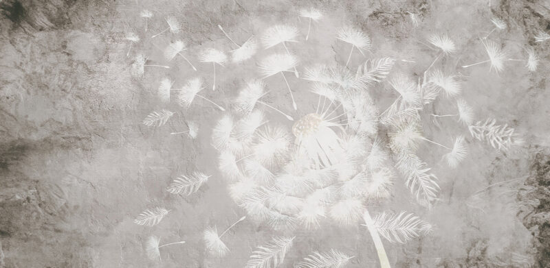 VISIBLE - immagine 2