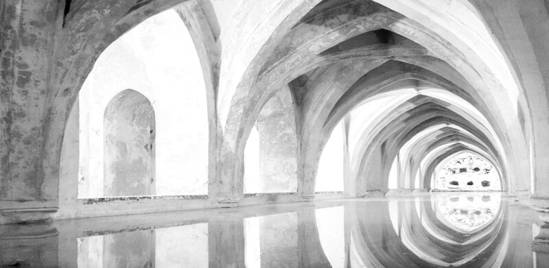 WET - immagine 2