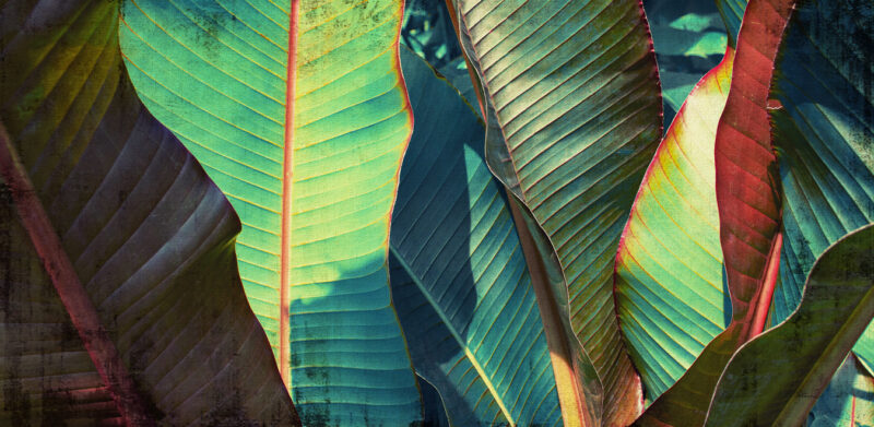 ZOOM - immagine 2