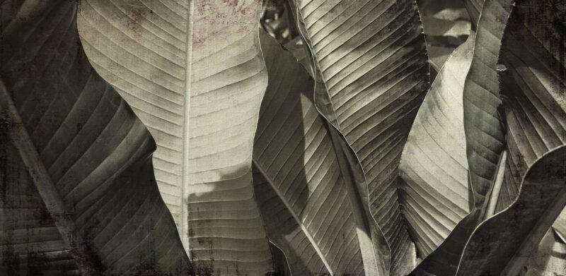 ZOOM - immagine 3