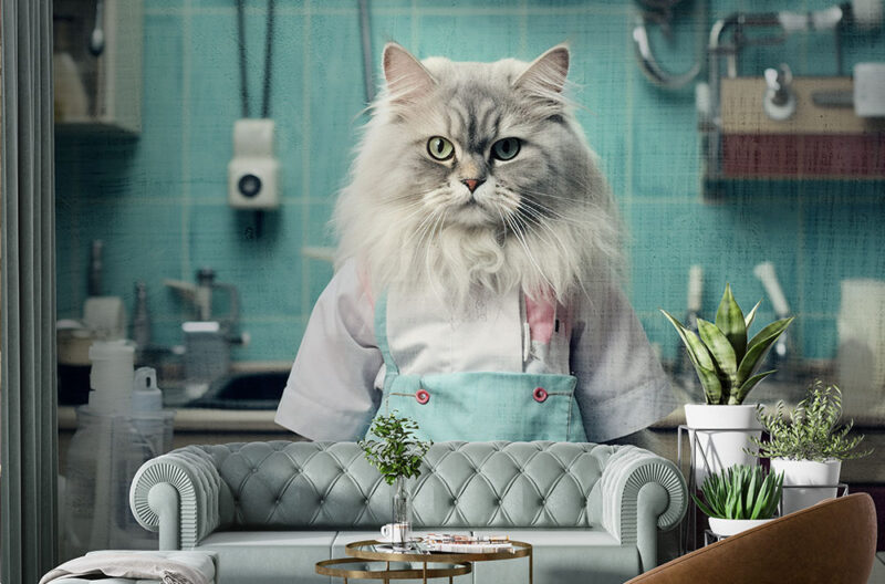 DOCTOR MIAO