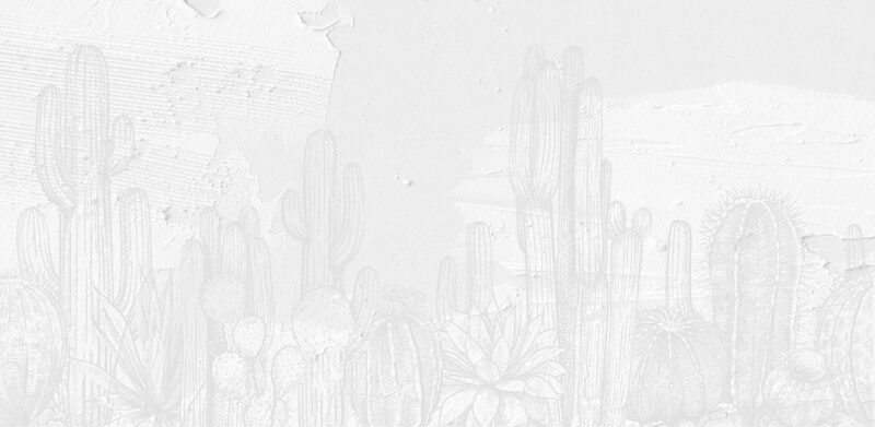 OUTLINE - immagine 2